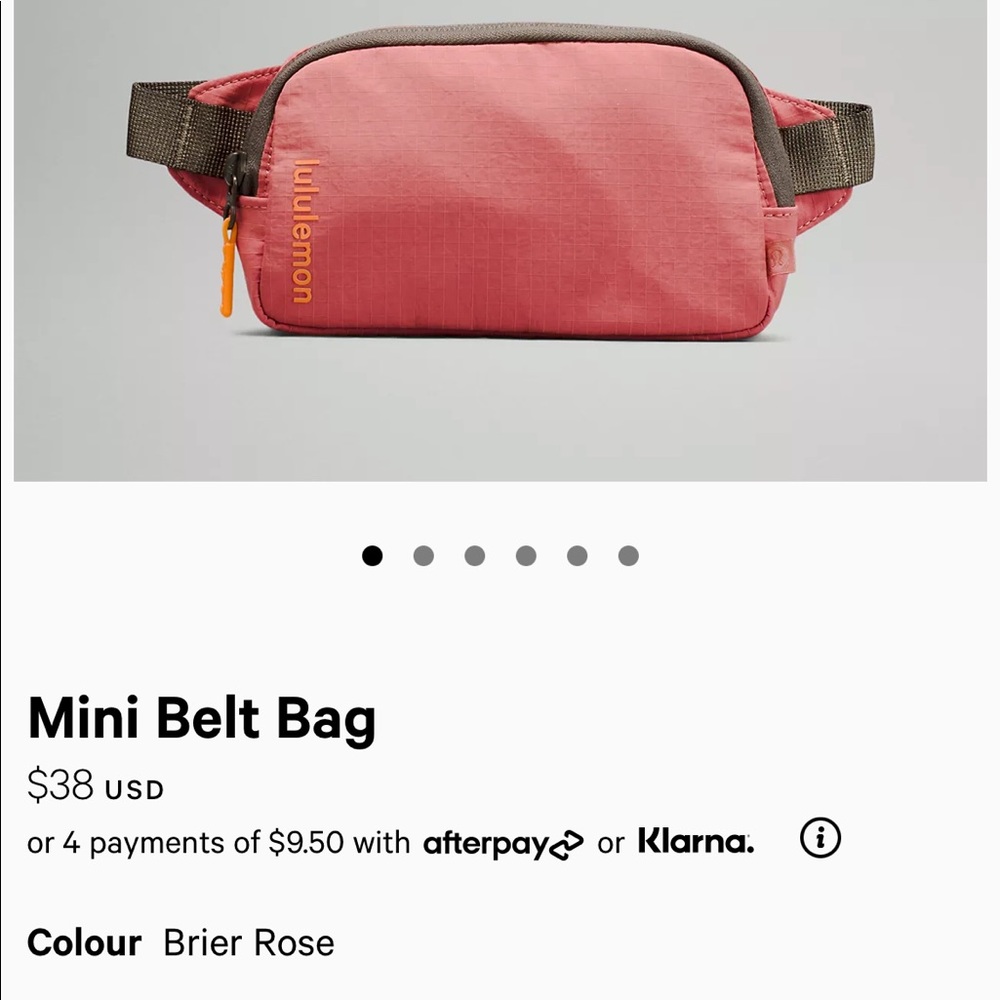 EVERYWHERE BELT BAG MINI